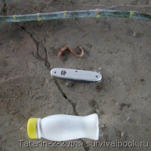 Фото 1 - Татарская Донка Татарская Донка